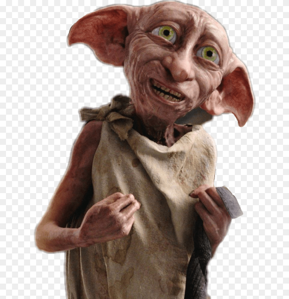 Harrypotter Potterhead Report Dobby Harry Potter, Male, Adult, Person, Man Free Transparent Png