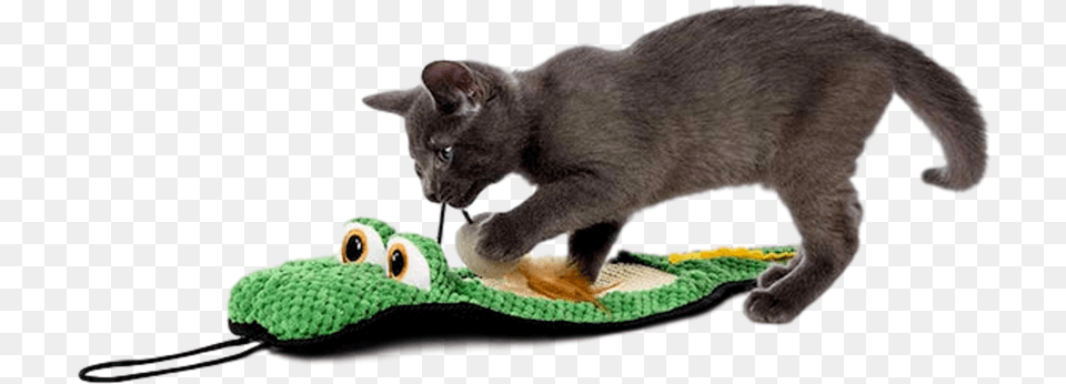 Hartz Gator Scratch Pad Cat Toy Cat Toy, Animal, Mammal, Pet Free Transparent Png