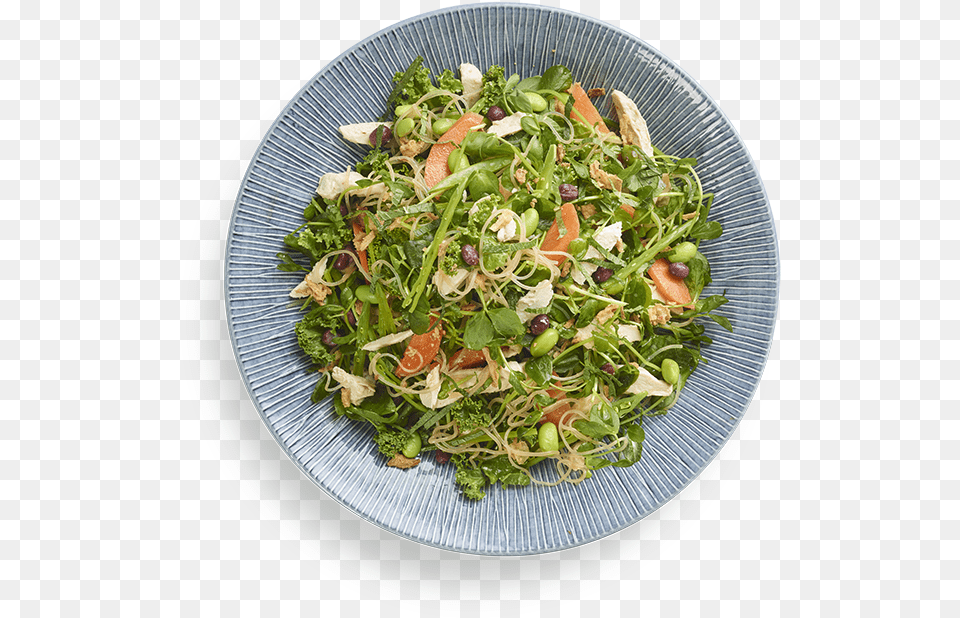 Harusame Glass Noodle Salad Wagamama, Food, Food Presentation, Plate, Meal Png