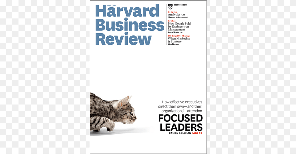 Harvard Business Review 2005, Advertisement, Poster, Animal, Cat Png