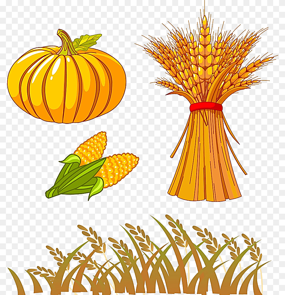 Harvest Clip Art, Rural, Countryside, Farm, Produce Png