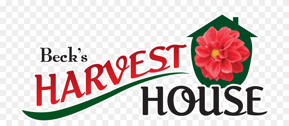Harvest Clipart Brunch, Dahlia, Flower, Plant, Logo Png