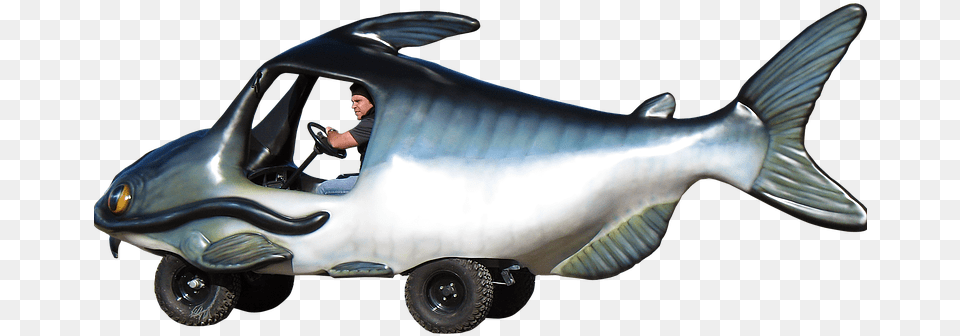 Harvest Select Catfish Cart Whale, Person, Animal, Sea Life, Fish Png Image