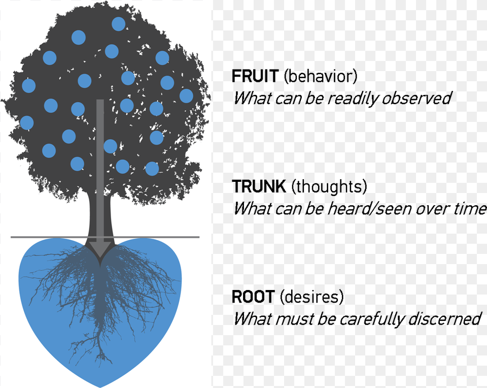 Harvest Tree Heart Diagram Circle, Plant, Art Free Png Download