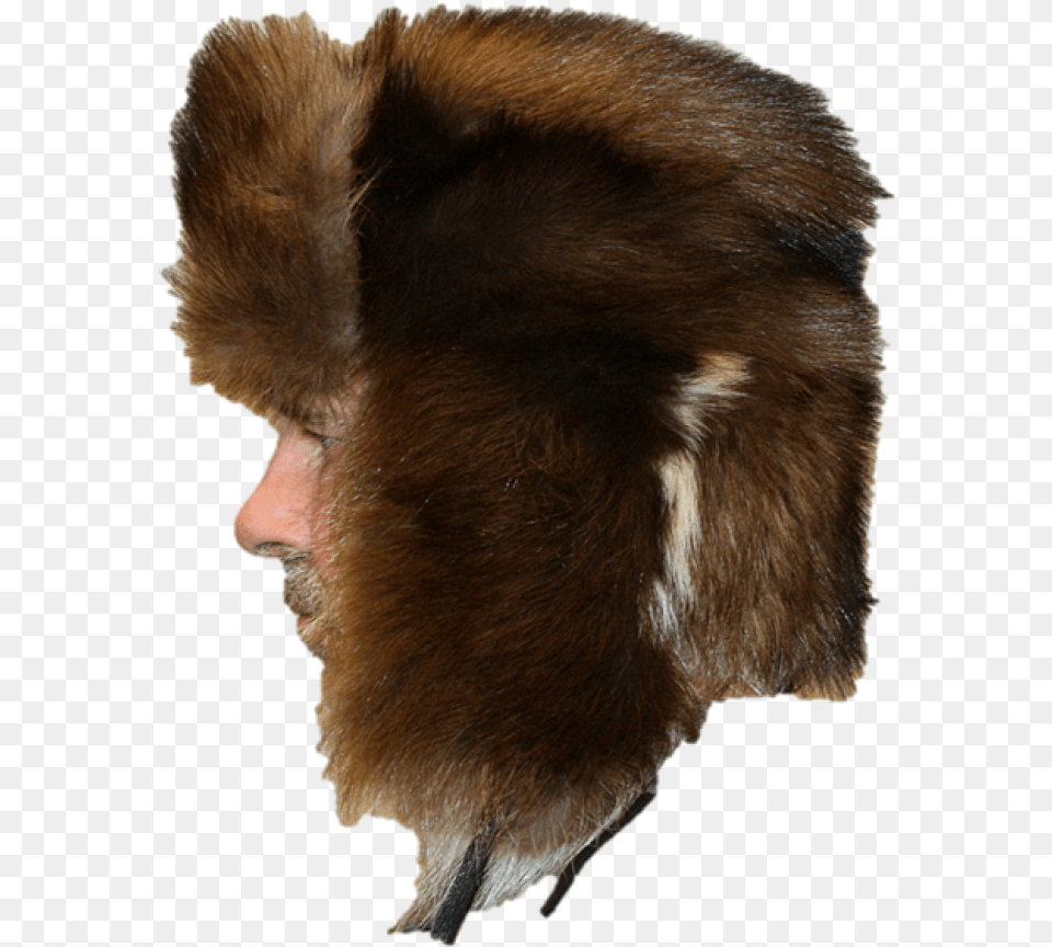 Hat, Clothing, Fur, Animal, Bear Free Transparent Png