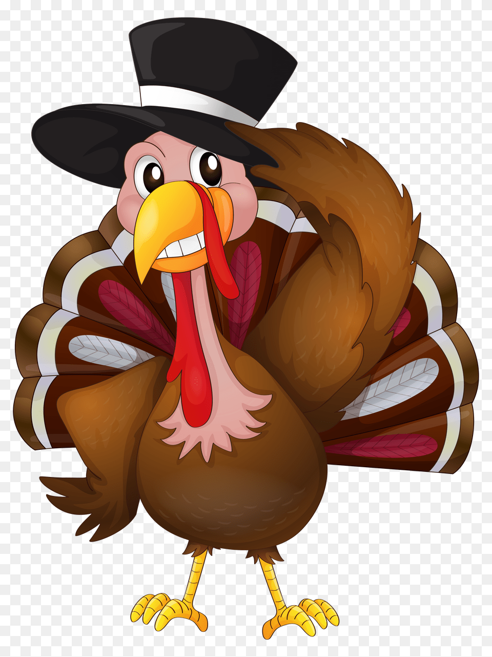 Hat Clipart, Animal, Beak, Bird Free Png Download