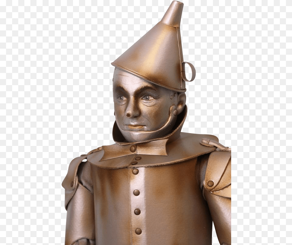 Hat Tin Man Amp Free Hat Tin Man Transparent, Adult, Female, Person, Woman Png