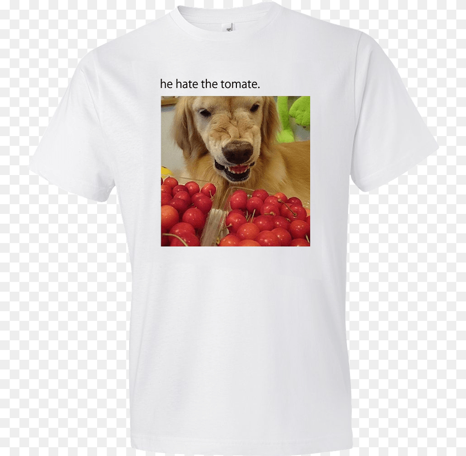 Hate The Tomate Tee Foo Straight Posted Up, Clothing, T-shirt, Animal, Canine Free Png