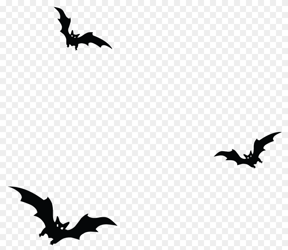 Haunted Bats Vector, Animal, Bird, Flying, Silhouette Png