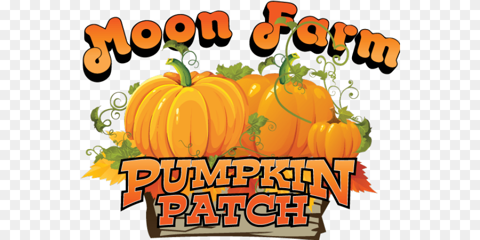 Haunted Clipart Pumpkin Patch Moon Farm Fruita Colorado, Food, Plant, Produce, Vegetable Free Png Download