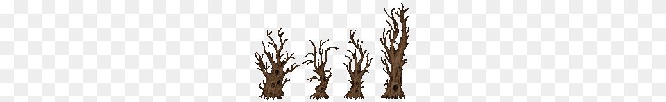 Haunted Forest Trees, Wood, Plant, Root, Art Free Transparent Png
