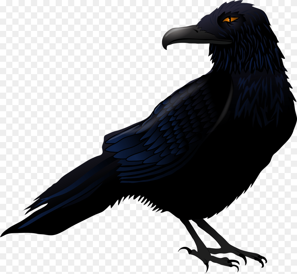 Haunted Raven Vector Clipart Raven, Animal, Beak, Bird, Blackbird Free Transparent Png