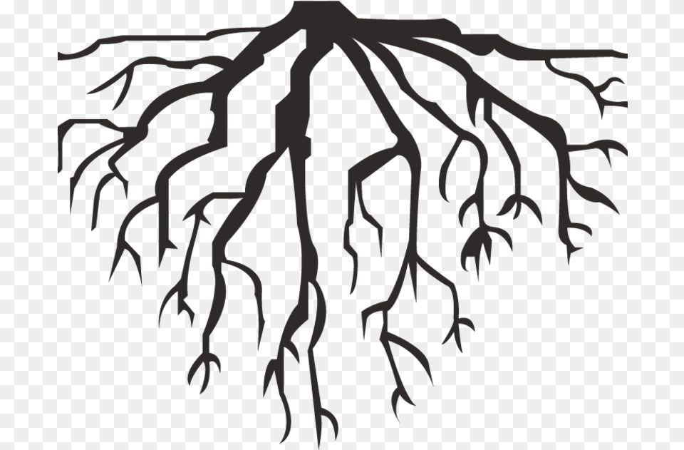 Hausarrest Deep Roots Roots Vector, Plant, Root Free Png Download