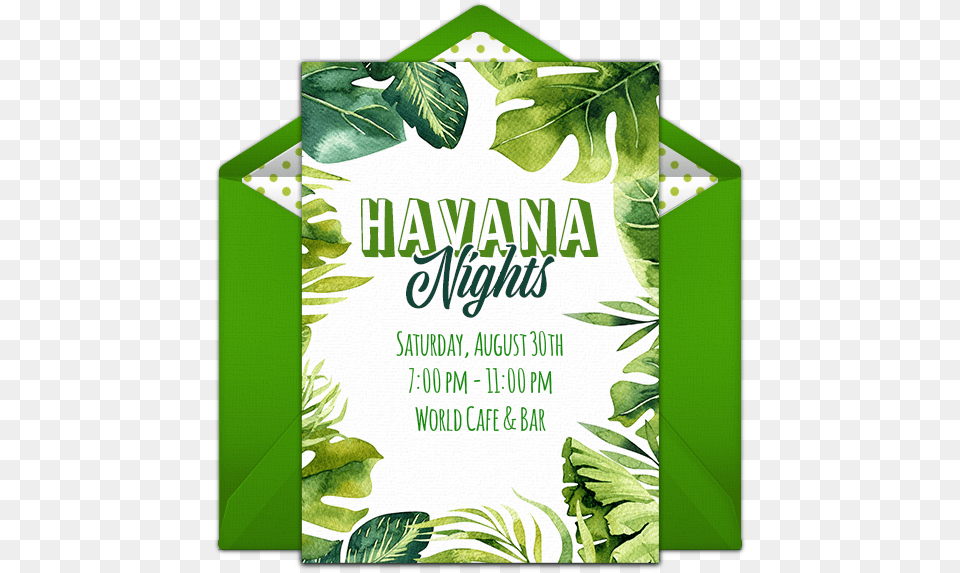 Havana Night Invitation Template, Advertisement, Herbal, Herbs, Leaf Free Transparent Png
