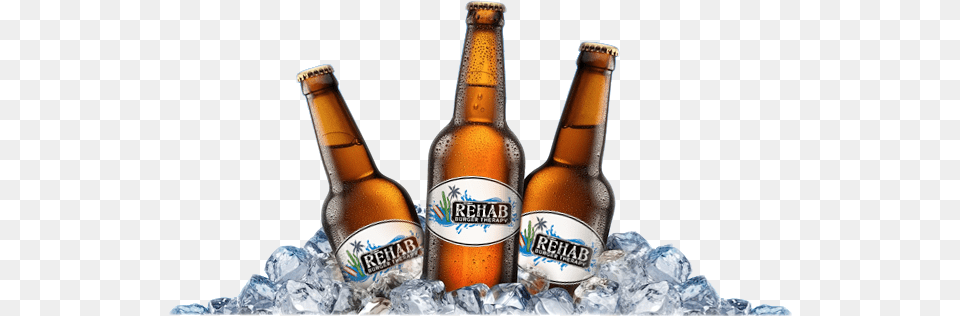 Have A Drink With Us Pedernales Lobo Bock, Alcohol, Beer, Beer Bottle, Beverage Png Image