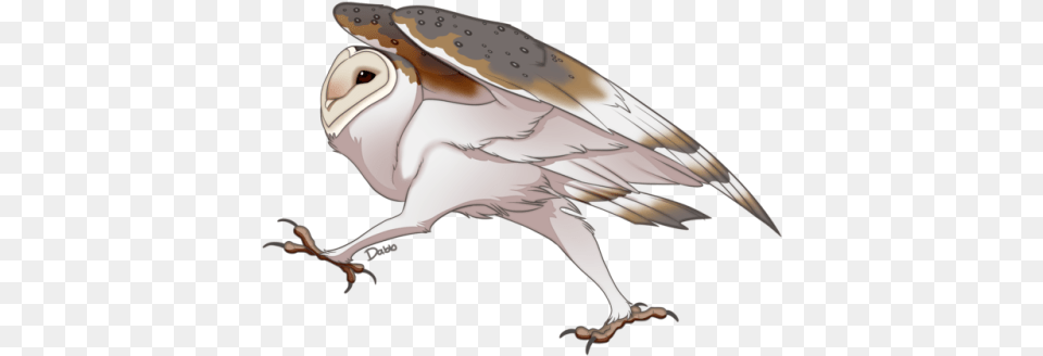 Have You Every Seen An Owl Run Running Owl, Animal, Bird, Fish, Sea Life Png Image