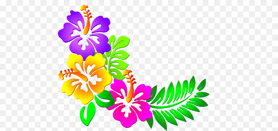 Hawaii Birthday Cliparts, Flower, Plant, Hibiscus, Art Free Png