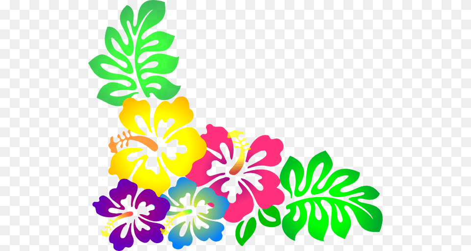 Hawaii Birthday Cliparts, Flower, Plant, Hibiscus, Art Png