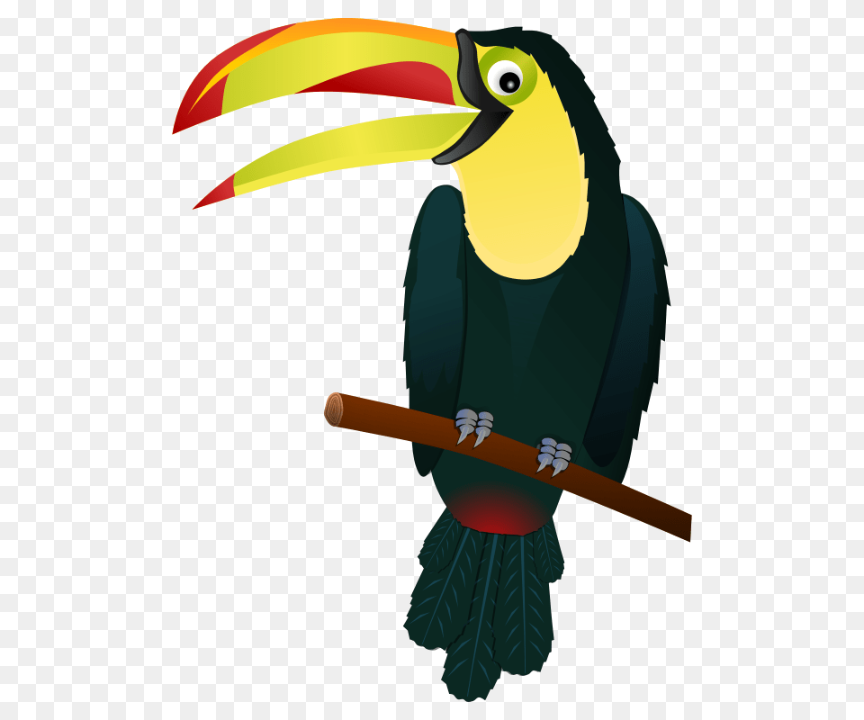 Hawaii Clipart Bird, Animal, Beak, Toucan Png Image