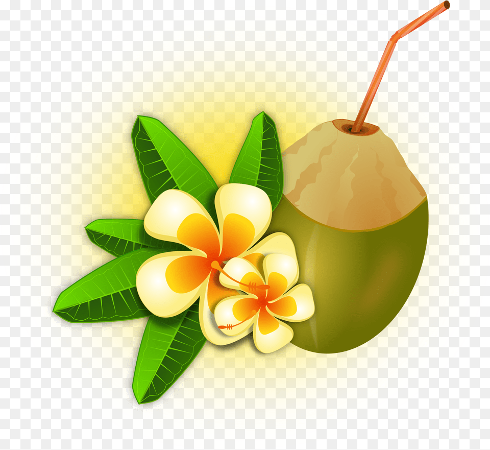 Hawaii Clipart Coconut Cocktail, Food, Fruit, Plant, Produce Free Png