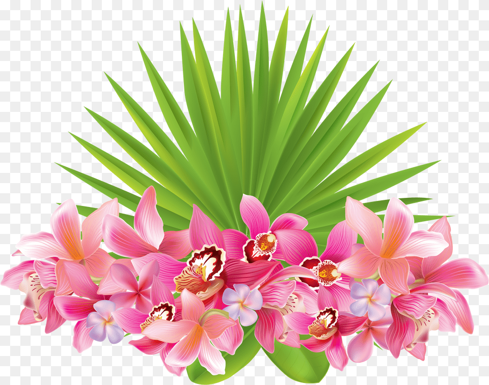 Hawaii Clipart Hawaiian Flower Tropical Flowers Transparent Background Png