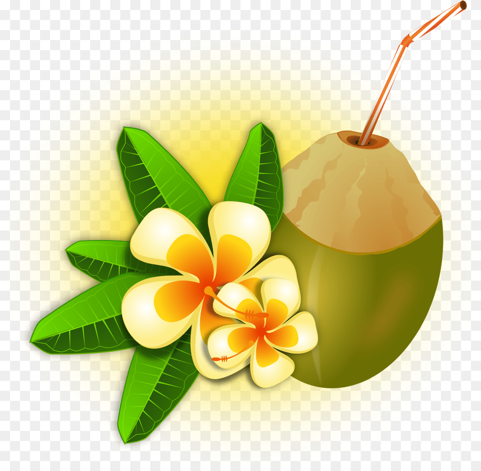 Hawaii Clipart Hawaiian Food Black Label With Coconut Water, Fruit, Plant, Produce, Leaf Free Transparent Png