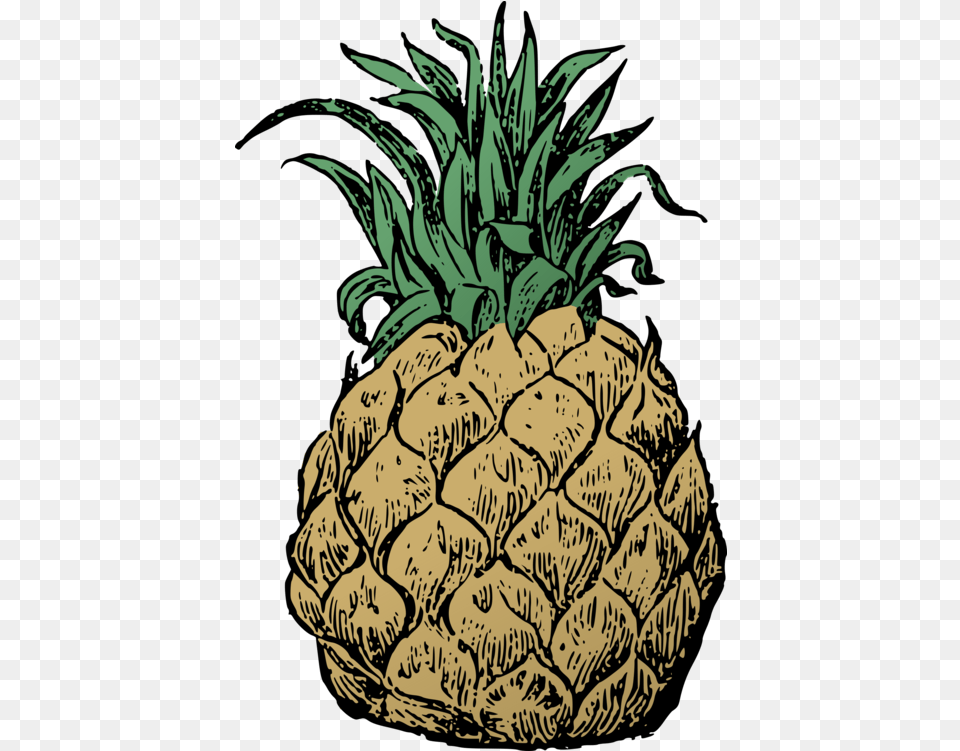 Hawaii Clipart Hawaiian Pineapple Pineapple Transparent Pineapple Basic, Food, Fruit, Plant, Produce Free Png Download