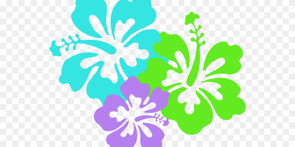 Hawaii Clipart Hibiscus Flower, Plant, Person Free Png Download