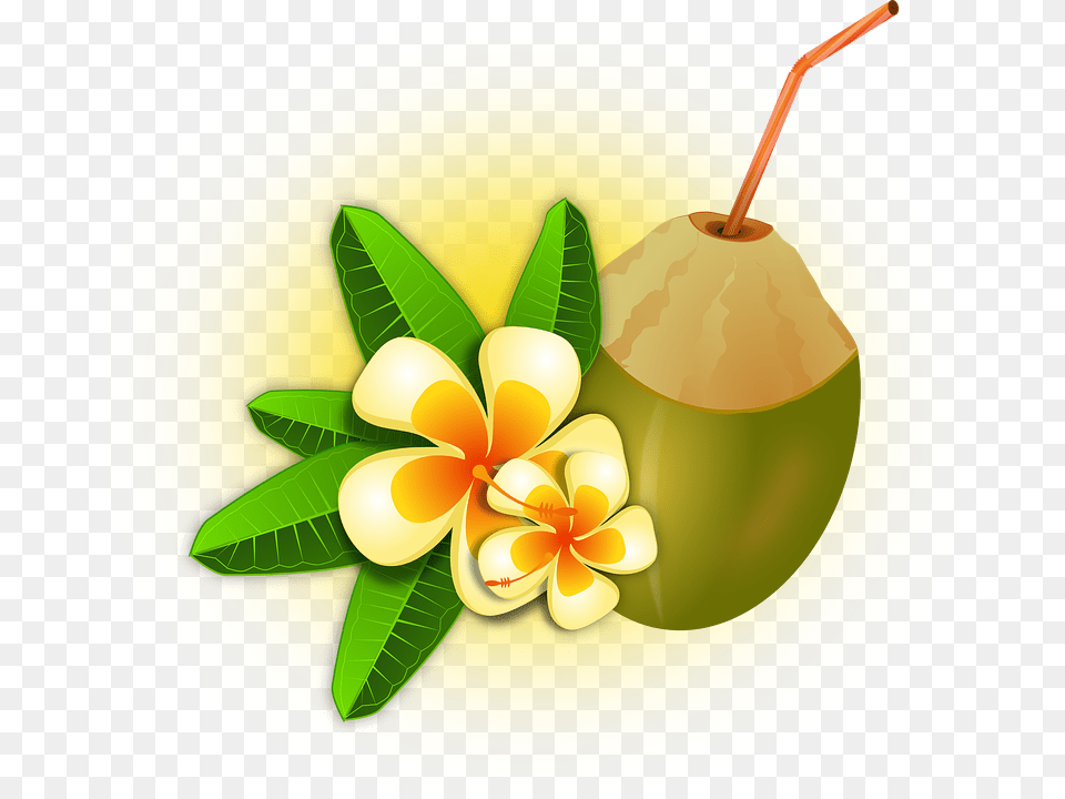 Hawaii Clipart Tropical Drink, Food, Fruit, Plant, Produce Png