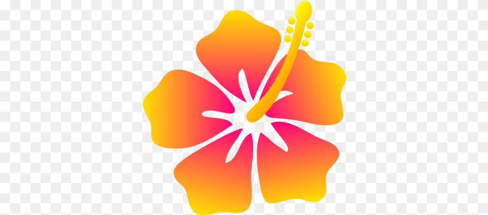 Hawaii F Hibiscus Flower Clip Art, Plant, Anther, Petal, Person Png