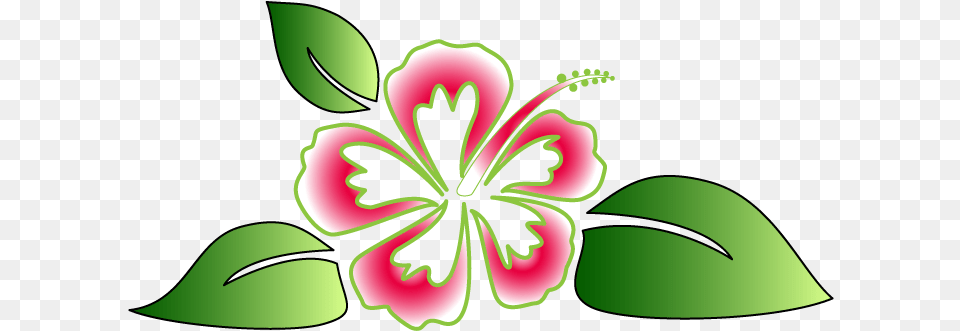 Hawaii Flower Hawaiian Flower, Plant, Hibiscus, Person Png