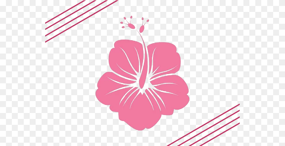 Hawaii Flower Silhouette Clip Art Artistic Spring Pink Hawaiian Flower Vector Free, Plant, Anther, Hibiscus, Petal Png