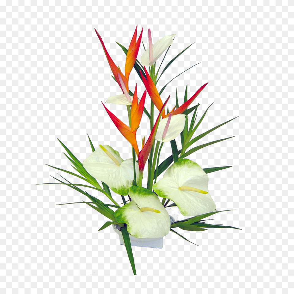 Hawaii Hd Transparent Hawaii Hd, Flower, Flower Arrangement, Flower Bouquet, Plant Png Image