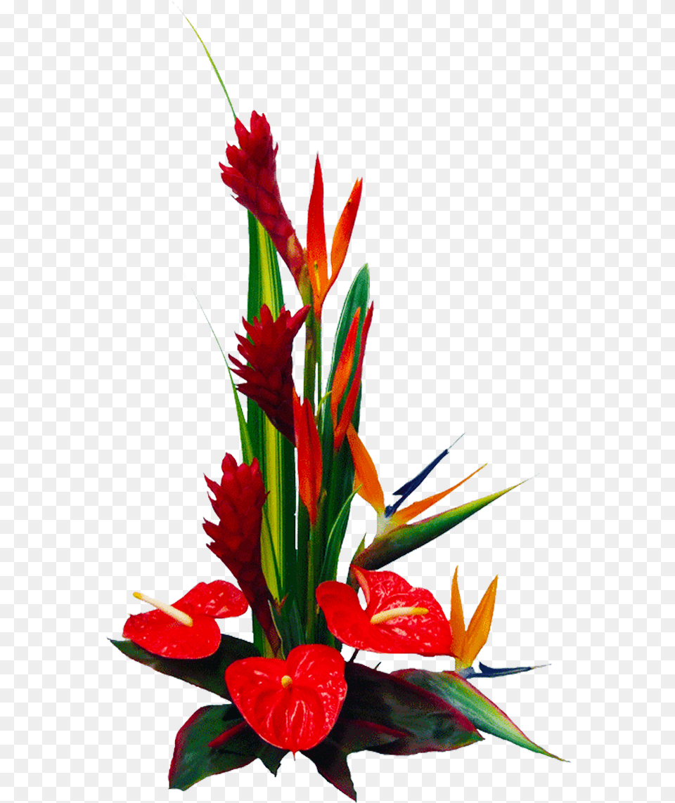 Hawaii Hd Transparent Hdpng Images Pluspng Red Anthurium Arrangement, Flower, Flower Arrangement, Plant, Flower Bouquet Png