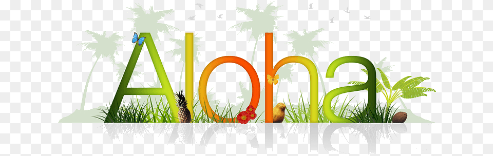 Hawaii Star Ball Palm Tree Clip Art, Grass, Potted Plant, Plant, Food Png