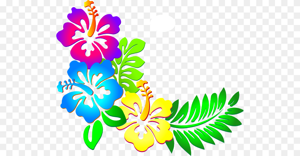 Hawaiian Border Clip Art, Flower, Plant, Hibiscus, Floral Design Png