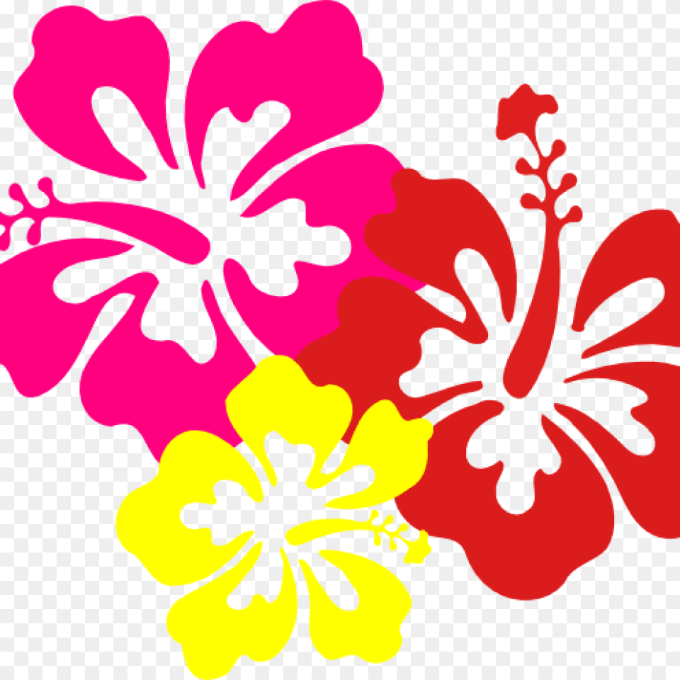 Hawaiian Border Clip Art Hawaiian Flower Clip Art Borders Flowers Of Hawaii, Hibiscus, Plant Png