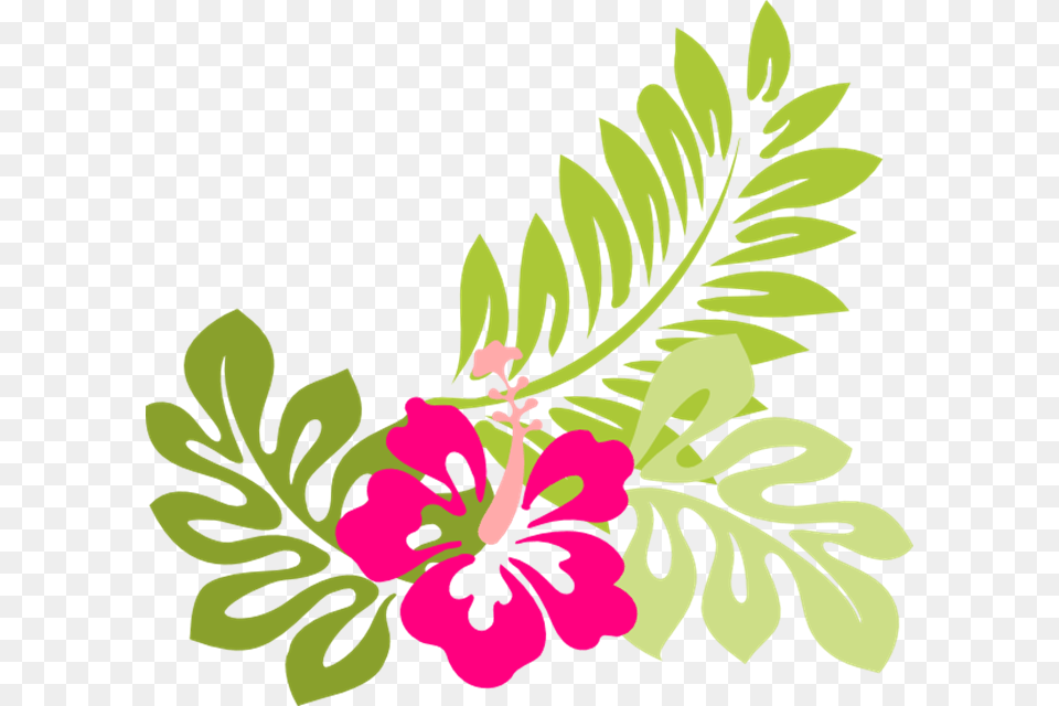 Hawaiian Cartoon Images 3 600 X 552 Webcomicmsnet Tropical Flower Clipart, Art, Pattern, Herbs, Herbal Free Transparent Png