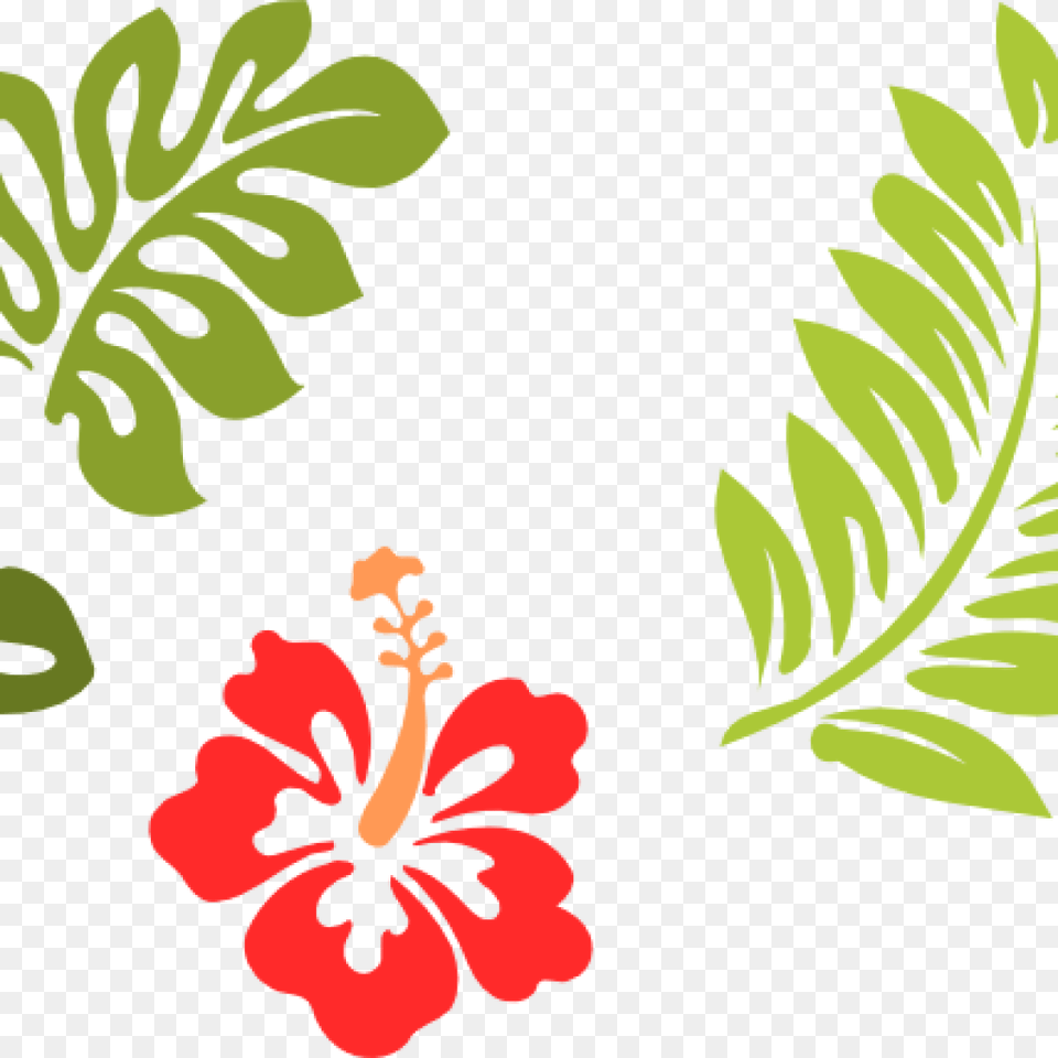 Hawaiian Clip Art Stencils Vector Online Clipart Download, Flower, Hibiscus, Plant Free Transparent Png