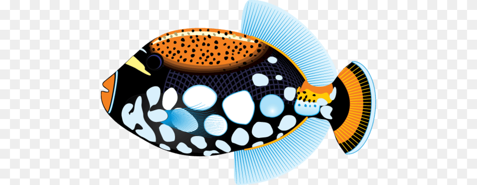 Hawaiian Fish Cliparts, Animal, Sea Life Png