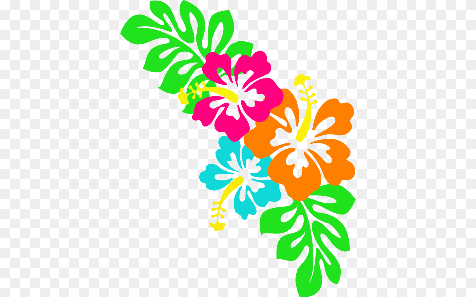 Hawaiian Flower Border Clipart, Plant, Art, Floral Design, Graphics Free Transparent Png