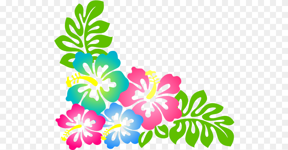 Hawaiian Flower Border Clipart Hawaii Flower, Plant, Hibiscus, Pattern Png Image