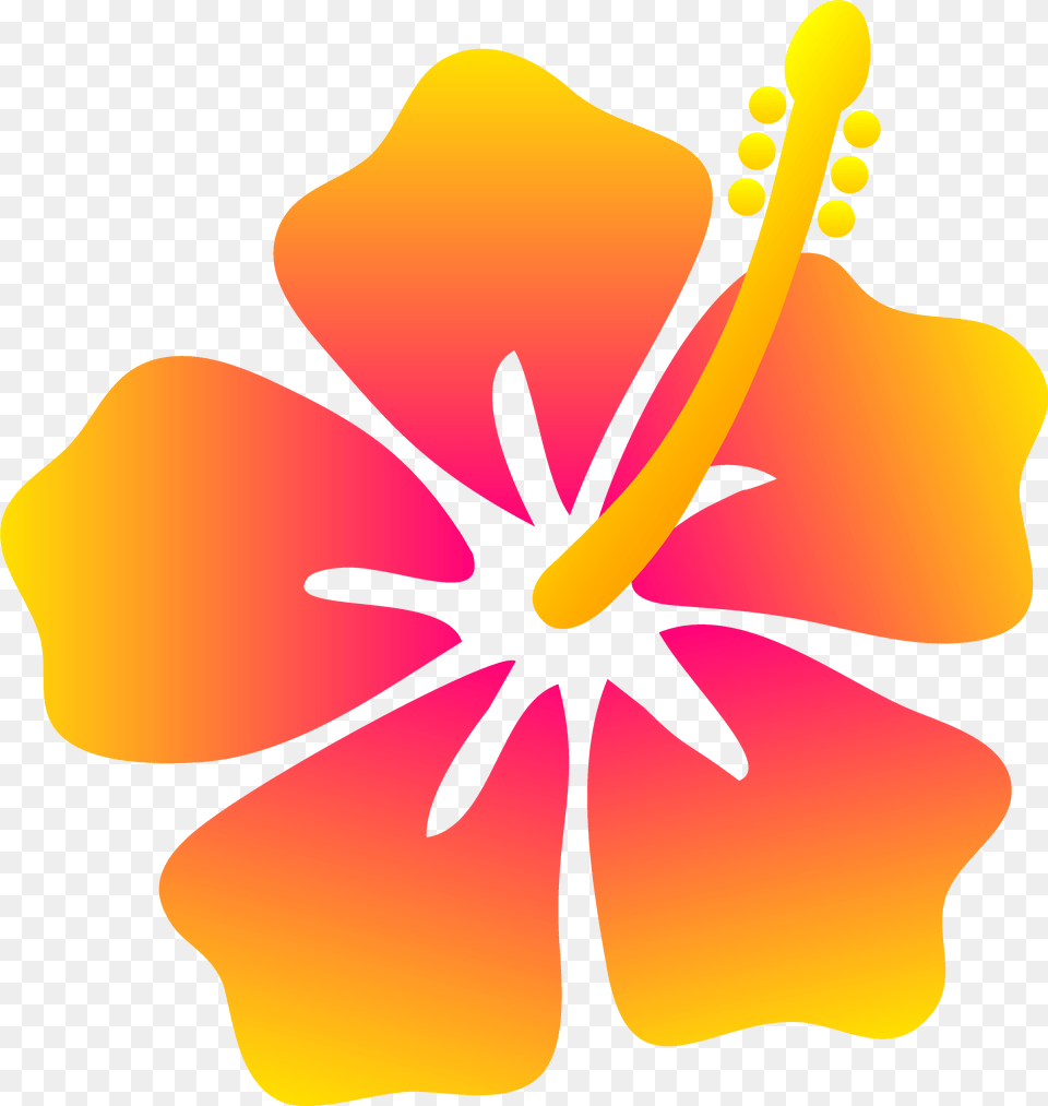 Hawaiian Flower Border Transparent U0026 Clipart Hawaiian Flowers Clip Art, Plant, Hibiscus, Anther, Petal Png