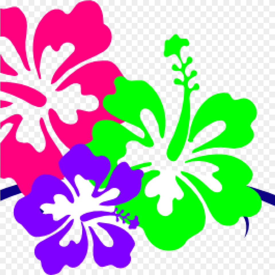 Hawaiian Flower Clip Art Borders Flower Clip Art Hawaiian, Plant, Geranium, Hibiscus, Floral Design Free Png