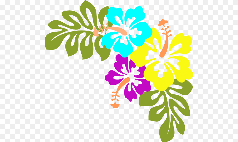 Hawaiian Flower Clip Art Clever Ideas, Plant, Hibiscus, Herbal, Herbs Png Image