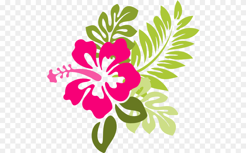 Hawaiian Flower Clip Art Hibiscus Clip Art, Plant, Floral Design, Graphics, Pattern Free Png Download