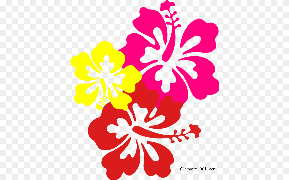 Hawaiian Flower Clip Art Three Flowers, Hibiscus, Plant, Face, Head Free Png