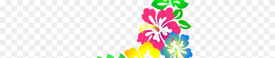 Hawaiian Flower Clip Art Three Flowers, Plant, Hibiscus, Pattern, Graphics Free Png