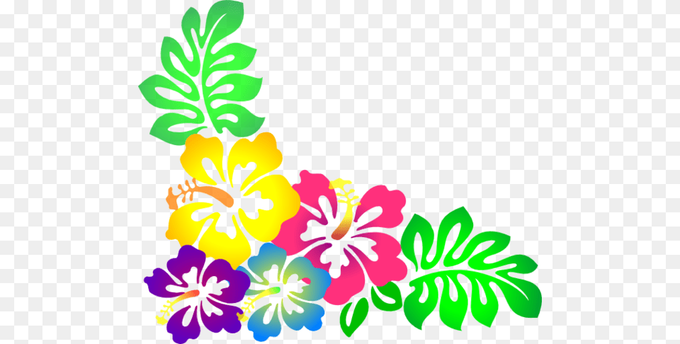 Hawaiian Flower Clipart, Plant, Hibiscus, Art, Floral Design Free Png Download