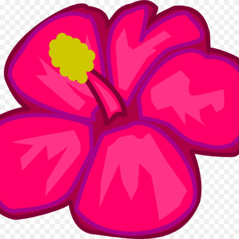Hawaiian Flower Clipart Hawaiian Flower Clip Art Clipart Draw A Tropical Flower, Petal, Plant, Hibiscus, Geranium Free Png Download